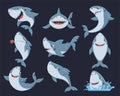 Cute funny shark flat vector illustrations set Royalty Free Stock Photo