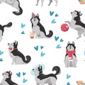 Cute and funny Siberian husky seamless pattern, cartoon flat vector illustration on white background.