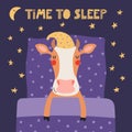Cute funny sleeping cow with pillow, blanket