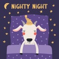 Cute funny sleeping goat with pillow, blanket Royalty Free Stock Photo