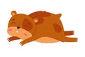 Cute funny sleeping pet hamster cartoon vector illustration