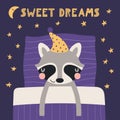 Cute funny sleeping raccoon with pillow, blanket
