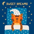 Cute funny sleeping tiger in nightcap on a pillow Royalty Free Stock Photo