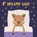 Cute funny sleeping wild piglet, pillow, blanket Royalty Free Stock Photo