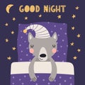 Cute funny sleeping wolf with pillow, blanket Royalty Free Stock Photo