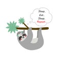 Cute funny sloth hang on tree branch tshirt print