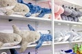 cute funny soft toy dolphins and whales in the store. Ecology support