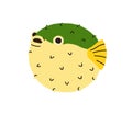 Cute funny spiked puffer fish. Exotic tropical pufferfish, blowfish. Round spiky balloonfish. Sea marine water animal of