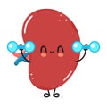 Cute funny Spleen organ character with dumbbells. Vector hand drawn cartoon kawaii character illustration icon. Isolated