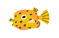 Cute funny spotted aquarium fish. Tropical yellow boxfish. Exotic little sea water species. Ornamental decorative