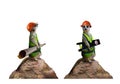 Cute funny suricates - constructor workers