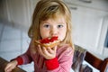 Cute funny toddler girl eats sweet bun for breakfast. Happy child eating bread roll with strawberry jam. Health food for Royalty Free Stock Photo