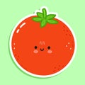 Cute funny tomato sticker character. Vector hand drawn cartoon kawaii character illustration icon. Isolated on green