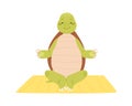 Cute and funny turtle exercising yoga or meditate. Calm and happy green tortoise character sitting on mat. Childish