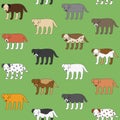 Cute and funny walking dogs pattern