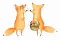 Cute and Funny Watercolor Foxes. Forest Animal. Illustration. Autumn