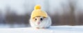 Cute funny white hamster dressed in yellow knitted hat sitting on snow on blurred winter background.