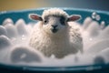 Cute and Funny Woolen Sheep in a Bathtub with Lots of Bubbles on Bath Day