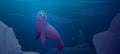Cute fur seal swim in underwater ocean space.