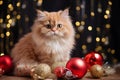 Cute furry kitten - Christmas Xmas season - Seasonal decoration - red and gold baubles - dark background