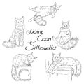 Cute furry maine coon cats silhouettes, black and white pet silhouettes set, adult coloring book