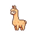 Cute game art pixel lama on white background