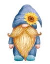 Cute garden Gnome with sunflowers on hat. Holiday card design. Watercolor drawing