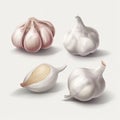 4 Cute Garlic Icon Pack