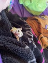 Cute gecko on a blanket