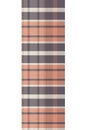 Cute gender neutral tartan seemless vertical border pattern. Checkered scottish flannel print for celtic home decor. For