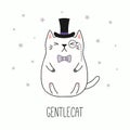 Cute gentleman cat