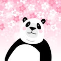 Cute giant panda bear with pink cherry blossoms background. Kids poster or birthday greeting card, vector illustration. Royalty Free Stock Photo