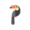 Cute giant Toucan. Royalty Free Stock Photo