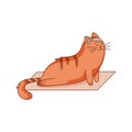 Cute Ginger Cat Character with Striped Tail Doing Yoga on Mat Vector Illustration