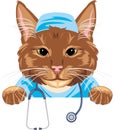 Cute ginger cat doctor with stethoscope Royalty Free Stock Photo