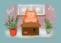 Cute ginger cat sits in box