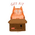 Cute ginger cat sits in box