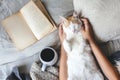 Hygge concept with cat, book and coffee in the bed Royalty Free Stock Photo