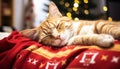 Cute ginger cat sleeping, cozy and pampered generated by AI