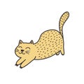 Cute ginger cat stretching isolated element. Feline character