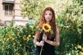 Cute ginger girl posing with sunflower outdoor Royalty Free Stock Photo