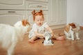 Cute ginger kitten drinking milk on the floor isolated on white background Royalty Free Stock Photo