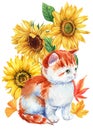 Cute ginger kitten and flowers sunflowers, watercolor hand drawing. Autumn composition, Happy animal