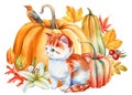 Cute ginger kitten, pumpkin, bird and lily flower, watercolor hand drawing painting. Autumn composition, cute cat