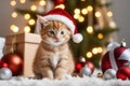 Cute ginger kitten in red Santa hat sitting among Christmas decor with garland lights bokeh festive background. Royalty Free Stock Photo