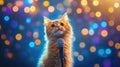 Cute ginger kitten singing on stage with colorful bokeh lights Royalty Free Stock Photo