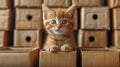 Cute ginger kitten sitting in cardboard boxes and looking at camera. Generative AI Royalty Free Stock Photo