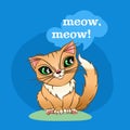 Cute ginger kitten sitting on grass blue background