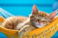 Cute ginger kitten sleeping in a hammock. International cat day. Generative AI Royalty Free Stock Photo