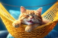 Cute ginger kitten sleeping in a hammock. International cat day. Generative AI Royalty Free Stock Photo